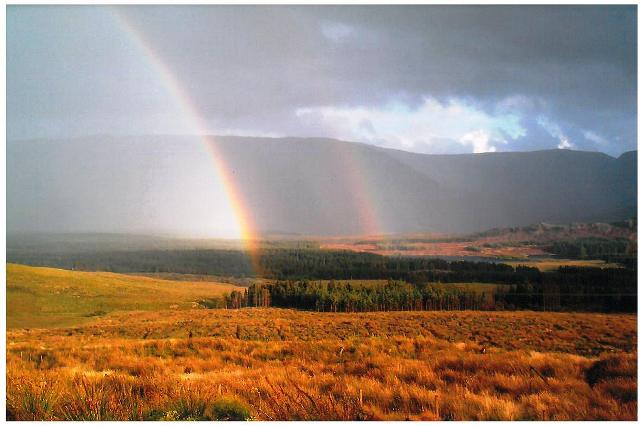 Irisch rainbows