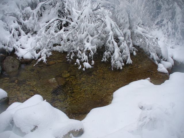 la Gironde givrée