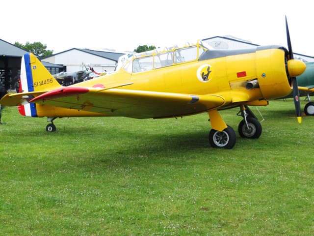 t6  ms