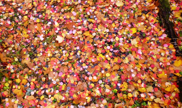 Tapis d'automne