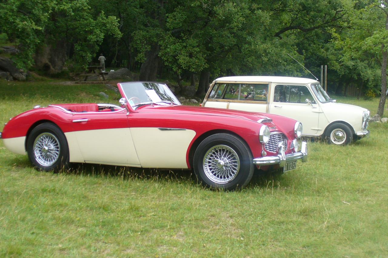 styles differents: austin healey / mini