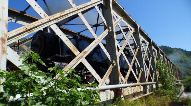 Pont sur le Var, le train des pignes