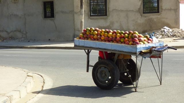 Vendeur de mangues    Sénégal