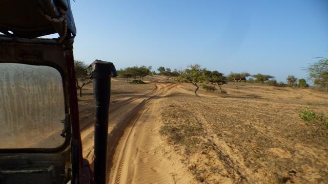 Des kms de pistes   Sénégal 2023